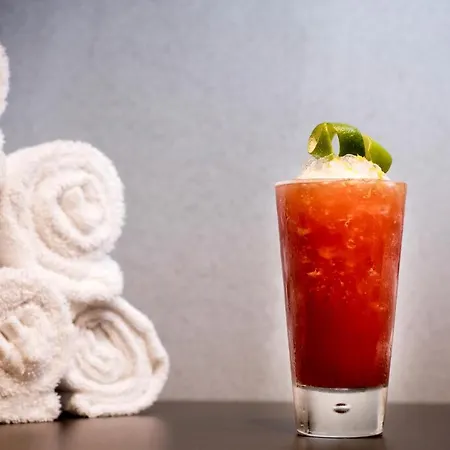 Pullman Paris Cdg Airport 4* Roissy-en-France