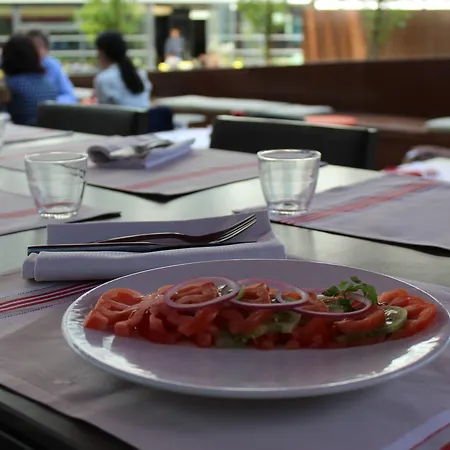 Pullman Paris Cdg Airport Hotel Roissy-en-France